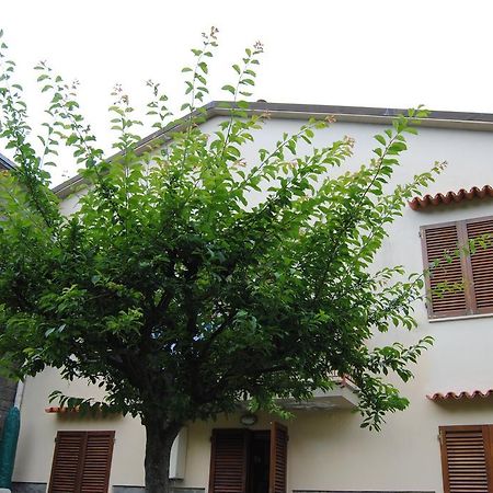 Apartamento Il Susino Tirrenia Exterior foto