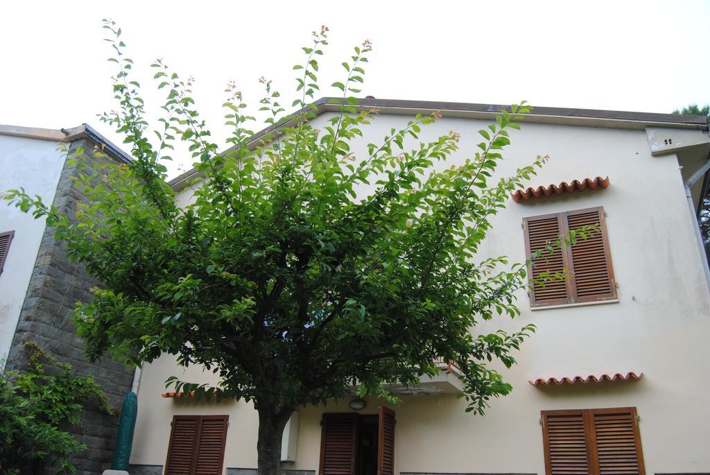 Apartamento Il Susino Tirrenia Exterior foto